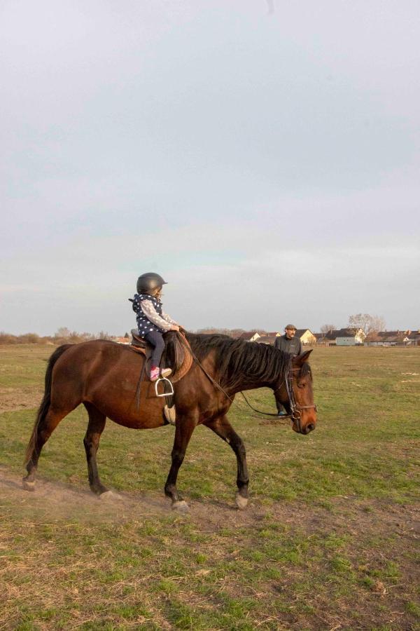 Hajdu Lovasudvar Hortobágy Exteriér fotografie
