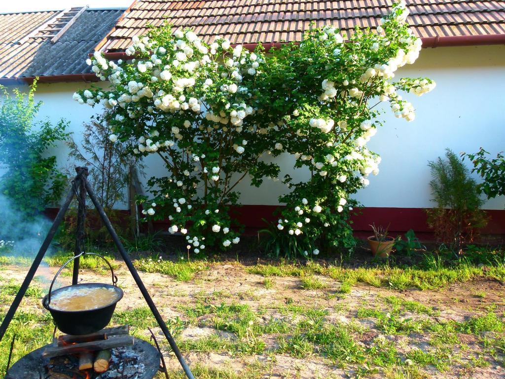Hajdu Lovasudvar Hortobágy Exteriér fotografie