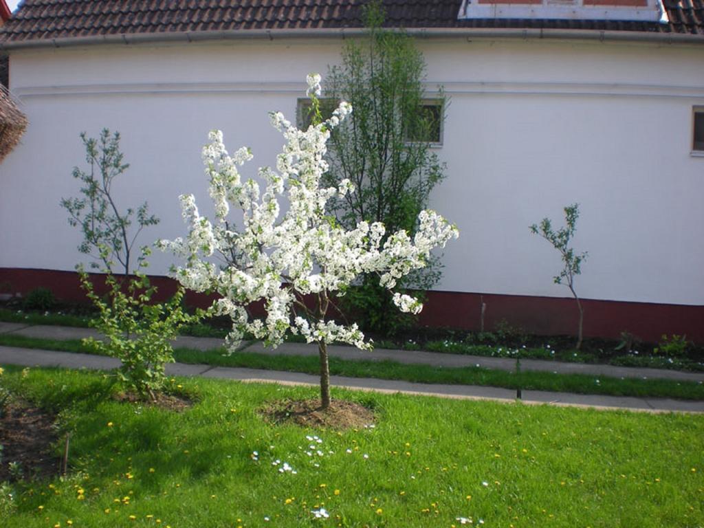 Hajdu Lovasudvar Hortobágy Exteriér fotografie